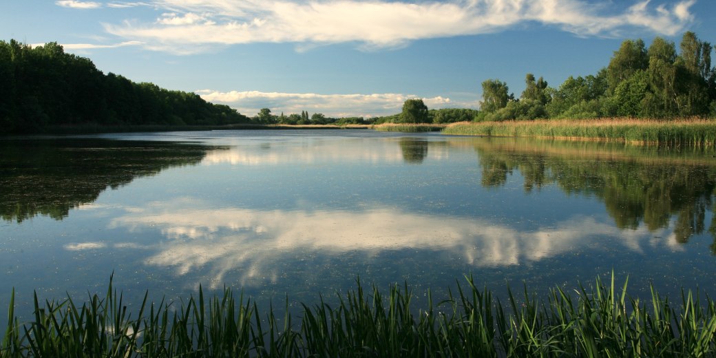 Krajina Bohdanečského rybníka.