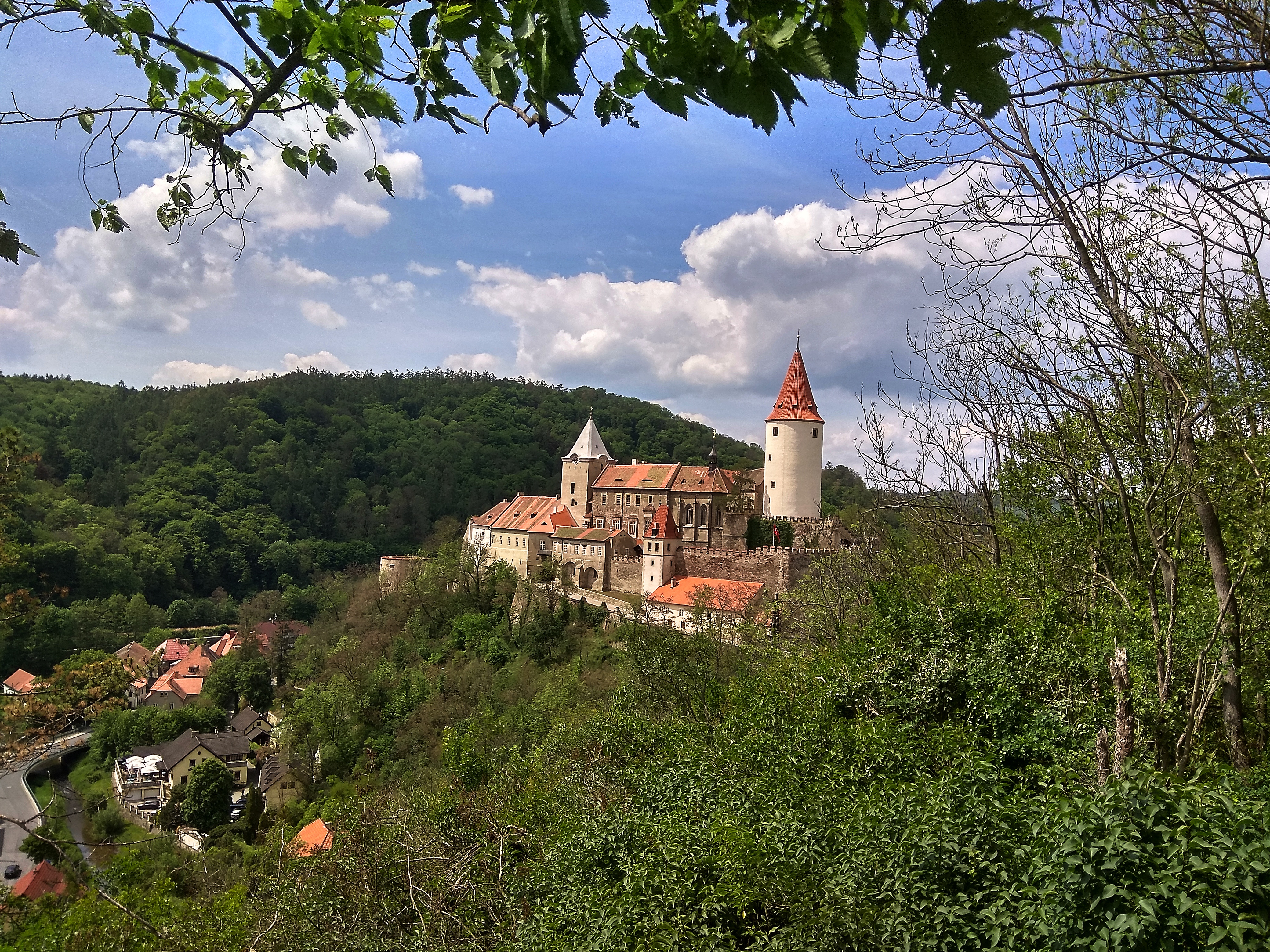 Procházka přemyslovským hvozdem